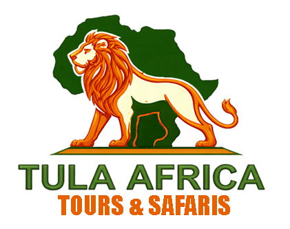 Tula Africa logo